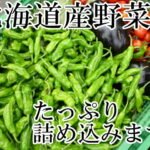 送料無料！冷蔵便込！北海道産四季のとれたて野菜詰め合わせセットお試し8種類入り｜価格・送料・ポイント還元まとめ｜レビュー232件
