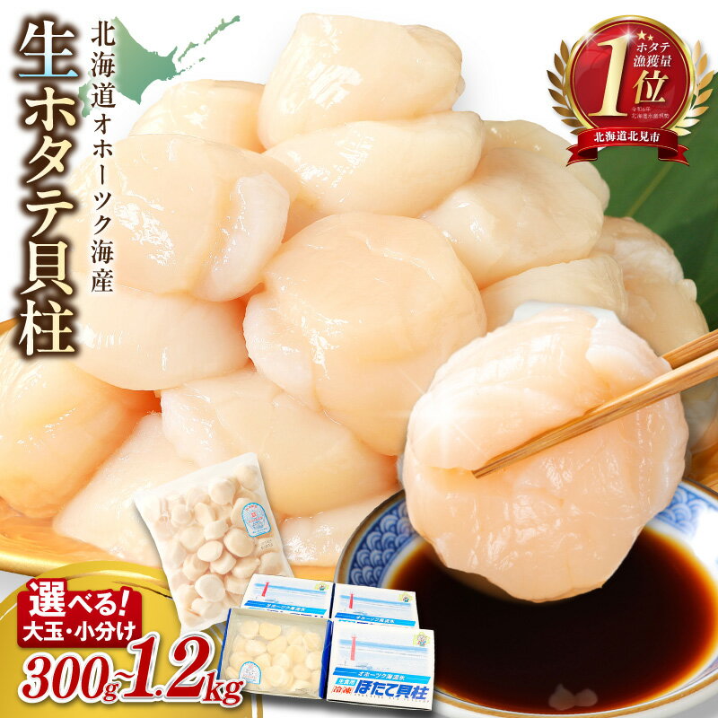 【ふるさと納税】総合1位 大粒 ホタテ 貝柱 300g〜1.2kg 生食用 玉冷 訳あり 不揃い （ ほたて 帆立 ホタテ貝柱 刺身 オホーツク 海鮮 冷凍 ギフト 発送時期が選べる 北海道 北見市 ）｜価格・送料・ポイント還元まとめ｜レビュー2165件