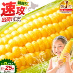 【ふるさと納税】 極甘 ゴールドラッシュ とうもろこし 選べる 5kg/8.5kg 北海道 名寄市産 朝採り 産地直送 生 で食べられる なよろ イエロー なよろ ホワイト コーンスープ 送料無料 おいしい 《8月上旬-9月中旬頃出荷》｜価格・送料・ポイント還元まとめ｜レビュー2609件