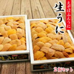【ふるさと納税】 エゾバフンウニバラ詰め 150g × 2 折 [11月中旬以降発送] うに 雲丹 えぞばふんうに 蝦夷バウンウニ 蝦夷ばふんうに ウニ丼 うに丼 雲丹丼 刺身 お取り寄せ グルメ 海鮮 北海道 根室市 ふるさと納税 D-73008｜価格・送料・ポイント還元まとめ｜レビュー128件