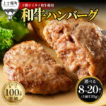 【ふるさと納税】十勝ナイタイ和牛 ハンバーグ 選べる 120g×8～20個 累計100万個突破 高評価★4.8 高評価ハンバーグ 国産 北海道 牛 豚 肉 牛肉 豚肉 国産牛 国産豚 黒毛和牛 お取り寄せ ギフト 冷凍ハンバーグ 発送時期が選べる 定期便が選べる｜価格・送料・ポイント還元まとめ｜レビュー291件