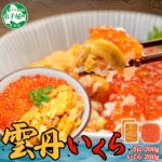 【ふるさと納税】 3594. ウニ チリ産 冷凍 いくら 二色丼 うに 雲丹 イクラ 海鮮 海鮮丼 うに丼 いくら丼 いくら醤油漬け いくら200g（アメリカ産）＆うに（チリ産）100g×2個セット 送料無料 北海道 弟子屈町｜価格・送料・ポイント還元まとめ｜レビュー77件
