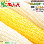 【予約順に出荷中】北海道産 南幌町 とうもろこし 食べ比べ (白色＆黄色/冷蔵便) 南幌町明るい農村ネットワーク 朝採り トウモロコシ スイートコーン とうきび 残暑見舞い ギフト 贈り物 お祝い プレゼント 人気 北海道 野菜 グルメ 産地直送 送料無料 お取り寄せ｜価格・送料・ポイント還元まとめ｜レビュー425件