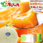 お中元 当店No,1 北海道産 富良野メロン (JA共撰/秀品/サイズ:1玉 1.6kg/中玉) お届け日時指定OK 熨斗OK JAふらの ふらのメロン 赤肉 夏ギフト 残暑見舞い お盆 お供え 敬老の日 ギフト 贈り物 贈答 お祝 お礼 お返 内祝 プレゼント 果物 フルーツ 北海道 お取り寄せ｜価格・送料・ポイント還元まとめ｜レビュー562件