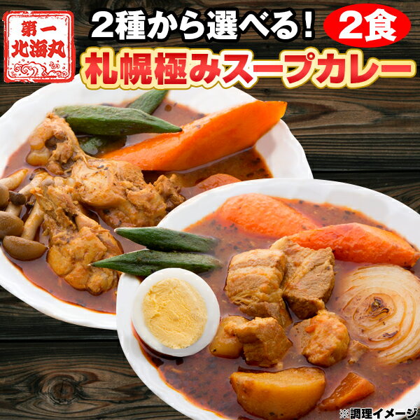 北海道 札幌 極み スープカレー 2食セット チキン 豚角煮 レトルト スープ カレー レトルトスープ 具沢山 レトルトカレー 北海道グルメ 美味しいレトルトカレー お祝い 内祝い 角煮カレー 美味しいカレー 湯煎 お取り寄せ レンジ 簡単調理 レンジ対応 カレーギフト 敬老の日｜価格・送料・ポイント還元まとめ｜レビュー629件