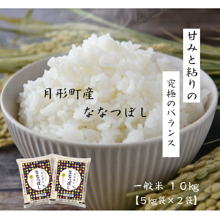 ななつぼし 一般精米 10kg★7年産 北海道 産 JA月形町ブランド★送料無料★産地直送★★特Aランク連続取得★全量1等米★｜価格・送料・ポイント還元まとめ｜レビュー364件