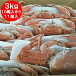 北海道産 オオズワイガニ ボイル かに 姿 オオ　ズワイガニ 姿 10尾入から11尾入り ズワイガニ姿 合計3kg前後 カニ 蟹 かに 北海道 魚介類 水産加工品 カニ ずわい｜価格・送料・ポイント還元まとめ