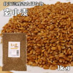 玄小麦（きたほなみ） 1kg 豆力 北海道産 小麦 薄力小麦 麦ご飯 小麦玄麦 雑穀 国産 全粒粉 無添加 薄力粉 胚乳 小麦胚芽 小麦ふすま｜価格・送料・ポイント還元まとめ｜レビュー5件