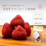 妊婦さん子供のおやつに　フリーズドライいちご　"ふわっと越後姫"4g　100%無添加無加糖無着色 ドライフルーツ　定植後化学農薬不使用の安心安全ドライいちご妊婦さんのおやつ/つわり/子供のおやつ国産いちご＊ふわっと姫4g｜価格・送料・ポイント還元まとめ｜レビュー1件