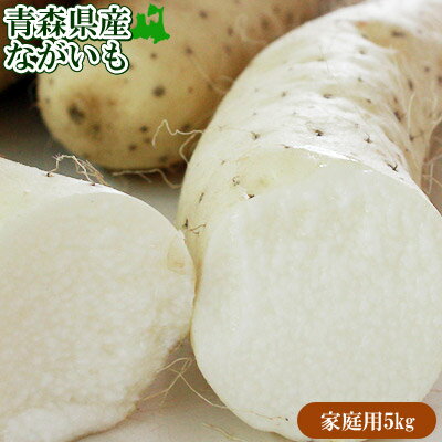 エントリーでポイント5倍 長芋 訳あり 送料無料 青森県 東北町 七戸町産 【青森県産ながいも家庭用5kg】 (7-12本前後) 変形・コブ・多少の傷があるけど味は絶品 JAゆうき青森 から 長いも 山芋 山いも [※常温便/産地直送のため同梱不可]｜価格・送料・ポイント還元まとめ｜レビュー58件