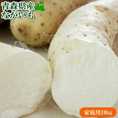 エントリーでポイント5倍 長芋 訳あり 送料無料 青森県 東北町 七戸町産 【青森県産ながいも家庭用10kg】(13-24本前後) 変形・コブ・多少の傷があるけど味は絶品 JAゆうき青森 から 長いも 山芋 山いも [※常温便/産地直送のため同梱不可]｜価格・送料・ポイント還元まとめ｜レビュー79件