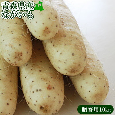 エントリーでポイント5倍 長芋 送料無用 青森県 東北町 七戸町産 【青森県産ながいも贈答用10kg】(2L〜Lサイズ 12-15本) JAゆうき青森 から「おなごぶりいい」美白ながいも [※常温便/産地直送のため同梱不可] グリーンジアース 長いも 山芋 山いも｜価格・送料・ポイント還元まとめ｜レビュー32件