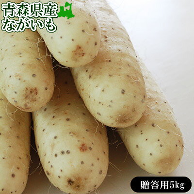 エントリーでポイント5倍 長芋 送料無用 青森県 東北町 七戸町産 【青森県産ながいも贈答用5kg】(2L〜Lサイズ6-8本) JAゆうき青森 から「おなごぶりいい」美白ながいも [※常温便/産地直送のため同梱不可] グリーンジアース 長いも 山芋 山いも｜価格・送料・ポイント還元まとめ｜レビュー3件