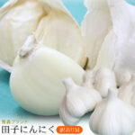 エントリーでポイント5倍 青森県産 田子 にんにく 訳あり Mサイズ 送料無料 2026年度産 【田子町産にんにく CM】(19-23玉) 青森県が誇るブランド産地田子町から、産地直送でお届けします！ [※常温便][※当店他商品との同梱不可]｜価格・送料・ポイント還元まとめ｜レビュー104件