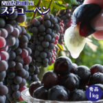 【青森県鶴田町産 スチューベンぶどう1kg】(4-7房入 サイズS-2L混合) 秀品 贈答用 送料無料 青森県 鶴田町産 冬のぶどう スチューベン 津軽ブランド つるたスチューベン 世界を知る醸造家が贈る伝統の味 スリーファームから産地直送 [※常温便][※産地直送のため同梱不可]｜価格・送料・ポイント還元まとめ｜レビュー63件