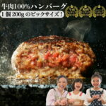 究極のひき肉で作る 牛100% ハンバーグ 200g 1個ずつ 個包装 × 10個 総量2kg ソース無 無添加 | 牛肉100% 冷凍 冷凍ハンバーグ ビーフ 牛肉 bonbori ぼんぼり 誕生日 ギフト お取り寄せ 送料無料 お中元｜価格・送料・ポイント還元まとめ｜レビュー75件