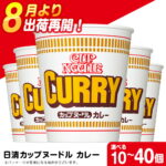 【ふるさと納税】【9月30日受付終了】 日清★カレーヌ−ドル★ 選べる10食〜40食 1箱（20食入） 麺類 ラーメンラーメン麺 即席麺 麺類 ラーメン カップ麺 インスタント 麺類 カップラーメン 【北海道千歳市】ギフト ふるさと納税｜価格・送料・ポイント還元まとめ｜レビュー17件