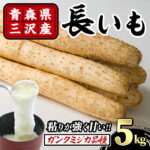 【ふるさと納税】青森県三沢市産 長いも (5kg) 野菜 やさい 根菜 とろろ 長芋 長いも 山いも 芋 いも 青森県産 三沢市産 【おいらせ農業協同組合】【ms25-02】｜価格・送料・ポイント還元まとめ