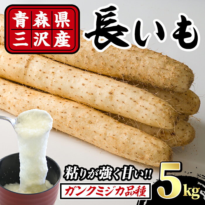 【ふるさと納税】青森県三沢市産 長いも (5kg) 野菜 やさい 根菜 とろろ 長芋 長いも 山いも 芋 いも 青森県産 三沢市産 【おいらせ農業協同組合】【ms25-02】｜価格・送料・ポイント還元まとめ