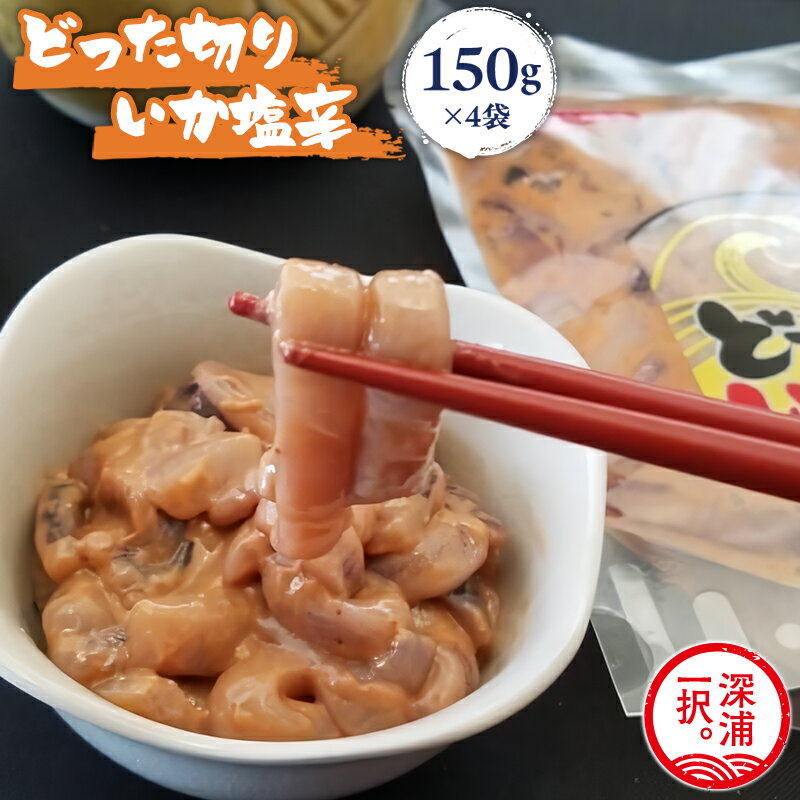 【ふるさと納税】 青森県産 どった切りいか塩辛 150g×4袋 計600g 【 青森県 深浦町 大船海産株式会社 】 小分け いか 塩辛 イカ マイカ 真いか 丸ごと おつまみ 晩酌 ご飯 おかず 海鮮 珍味 加工品 ギフト お取り寄せ｜価格・送料・ポイント還元まとめ｜レビュー5件
