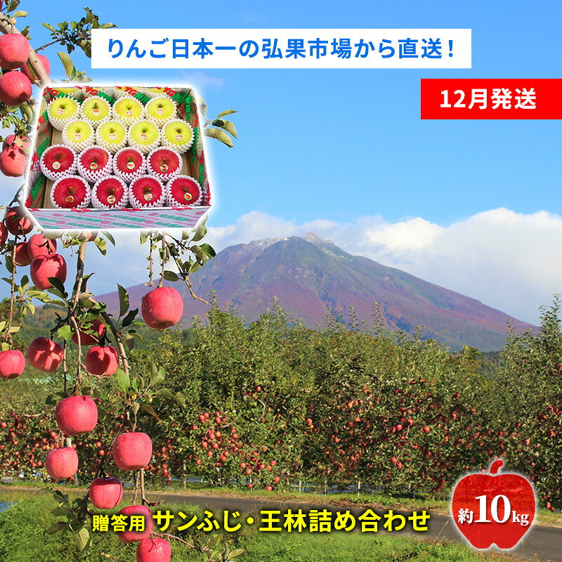 【ふるさと納税】りんご 【12月発送】糖度13度～ 贈答用 サンふじ 王林 詰め合わせ 約10kg　リンゴ 林檎 青森りんご 糖度 13度 甘い 酸味 デザート フルーツ 果物 お取り寄せ 産地直送 旬 季節限定 弘果物流 青森県 西目屋村 西目屋村産　お届け：2026年12月中｜価格・送料・ポイント還元まとめ