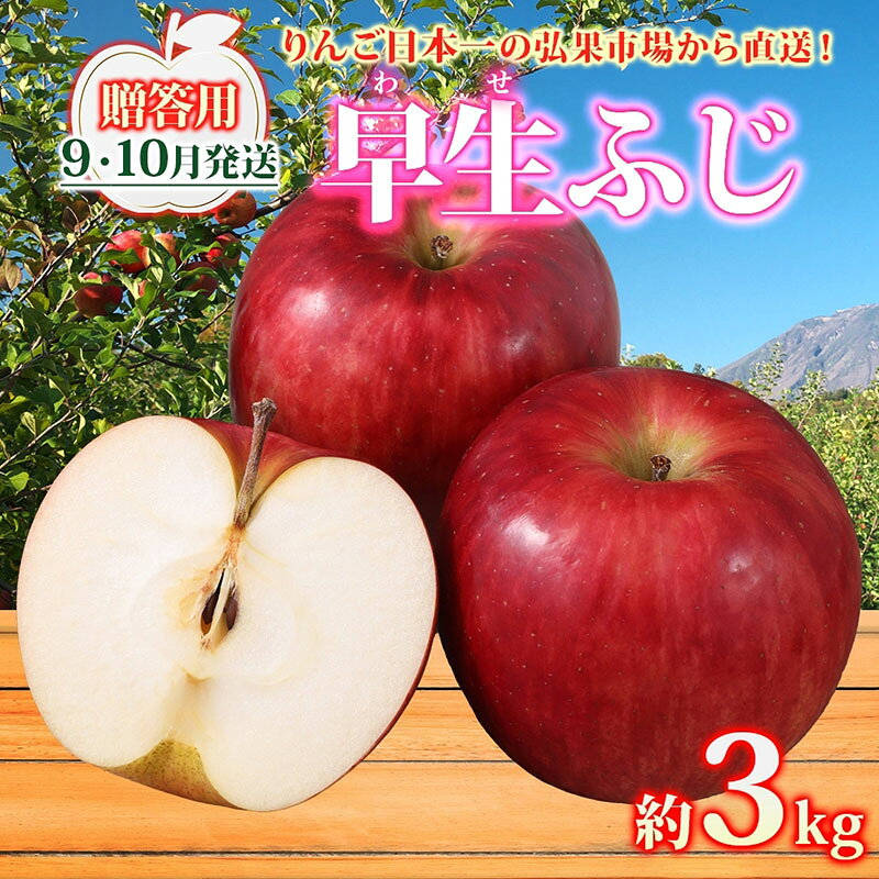 【ふるさと納税】りんご 【9月・10月発送】贈答用 早生ふじ 約3kg　リンゴ 林檎 青森りんご 糖度 13度 甘い 酸味 デザート フルーツ 果物 お取り寄せ 産地直送 旬 季節限定 弘果物流 青森県 西目屋村 西目屋村産　お届け：2026年9月上旬～10月下旬｜価格・送料・ポイント還元まとめ
