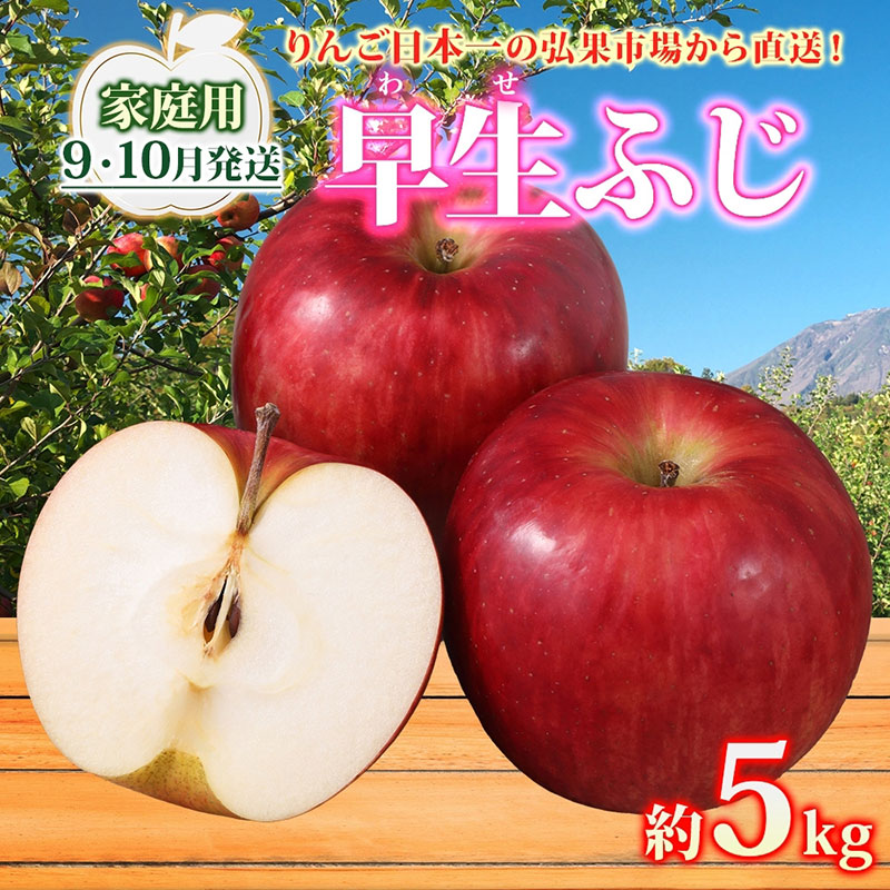 【ふるさと納税】りんご 【9月・10月発送】家庭用 早生ふじ 約5kg　リンゴ 林檎 青森りんご 糖度 13度 甘い 酸味 デザート フルーツ 果物 お取り寄せ 産地直送 旬 季節限定 弘果物流 青森県 西目屋村 西目屋村産　お届け：2026年9月上旬～10月下旬｜価格・送料・ポイント還元まとめ