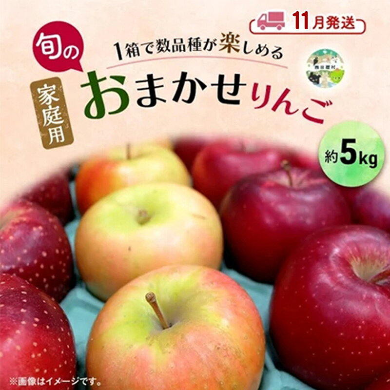 【ふるさと納税】りんご 【11月発送】 家庭用 旬のりんご 品種おまかせ 約 5kg 2品種～4品種　リンゴ 林檎 青森りんご アップル おまかせ ランダム フルーツ 果物 デザート 旬 季節限定 産地直送 青森県産 青森県 西目屋村　お届け：2026年11月中｜価格・送料・ポイント還元まとめ