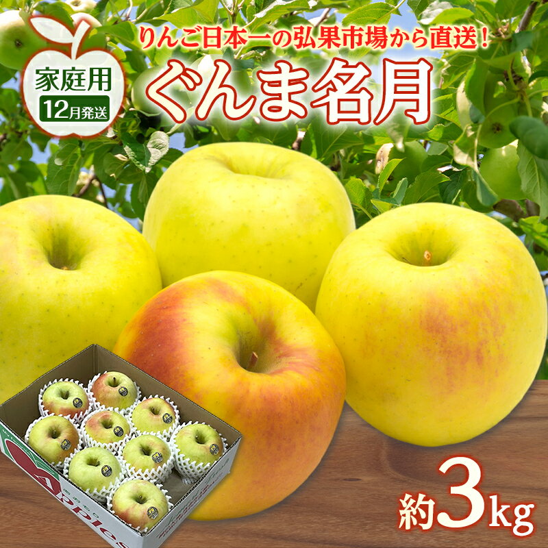 【ふるさと納税】りんご 【 12月発送 】 家庭用 ぐんま名月 約 3kg　リンゴ 林檎 青森りんご 糖度 13度 甘い 酸味 デザート フルーツ 果物 お取り寄せ 産地直送 旬 季節限定 弘果物流 青森県 西目屋村 西目屋村産　お届け：2026年12月中｜価格・送料・ポイント還元まとめ