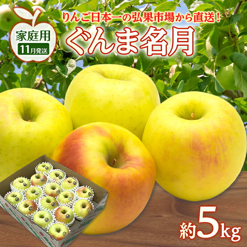 【ふるさと納税】りんご 【 11月発送 】 家庭用 ぐんま名月 約 5kg　リンゴ 林檎 青森りんご 糖度 13度 甘い 酸味 デザート フルーツ 果物 お取り寄せ 産地直送 旬 季節限定 弘果物流 青森県 西目屋村 西目屋村産　お届け：2026年11月中｜価格・送料・ポイント還元まとめ