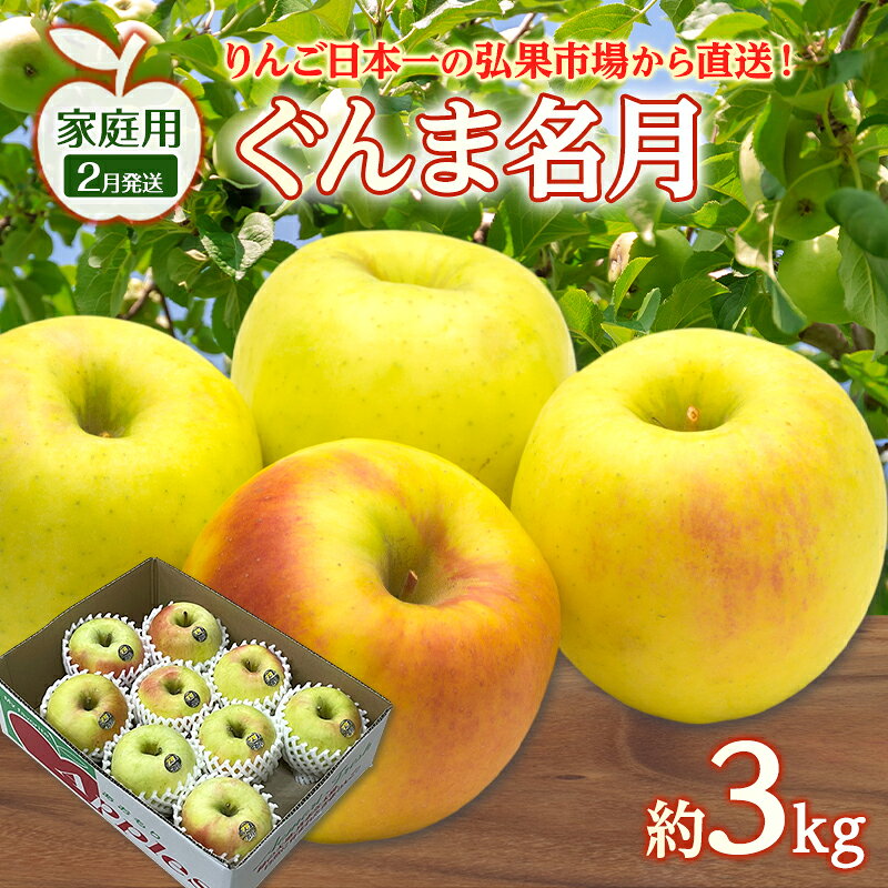 【ふるさと納税】りんご 【 2月発送 】 家庭用 ぐんま名月 約 3kg　リンゴ 林檎 青森りんご 糖度 13度 甘い 酸味 デザート フルーツ 果物 お取り寄せ 産地直送 旬 季節限定 弘果物流 青森県 西目屋村 西目屋村産　お届け：2027年2月中｜価格・送料・ポイント還元まとめ