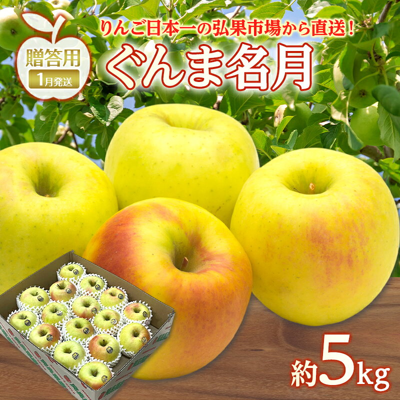 【ふるさと納税】りんご 【 1月発送 】 贈答用 ぐんま名月 約 5kg　リンゴ 林檎 青森りんご 糖度 13度 甘い 酸味 デザート フルーツ 果物 お取り寄せ 産地直送 旬 季節限定 弘果物流 青森県 西目屋村 西目屋村産　お届け：2027年1月中｜価格・送料・ポイント還元まとめ