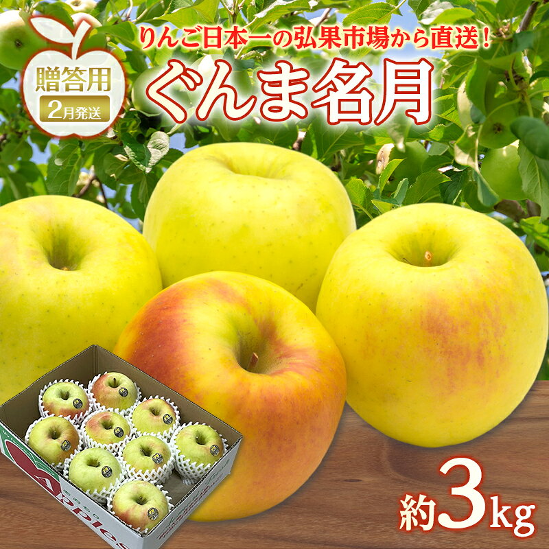 【ふるさと納税】りんご 【 2月発送 】 贈答用 ぐんま名月 約 3kg　リンゴ 林檎 青森りんご 糖度 13度 甘い 酸味 デザート フルーツ 果物 お取り寄せ 産地直送 旬 季節限定 弘果物流 青森県 西目屋村 西目屋村産　お届け：2027年2月中｜価格・送料・ポイント還元まとめ