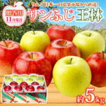 【ふるさと納税】【11月発送】 贈答用 サンふじ 王林 約5kg りんご 林檎 リンゴ 果物 フルーツ くだもの 旬 青森県産 お取り寄せ 詰め合わせ セット 人気 東北 名産 常温 産地直送 送料無料 青森県 西目屋村　お届け：2026年11月1日～2027年3月31日｜価格・送料・ポイント還元まとめ