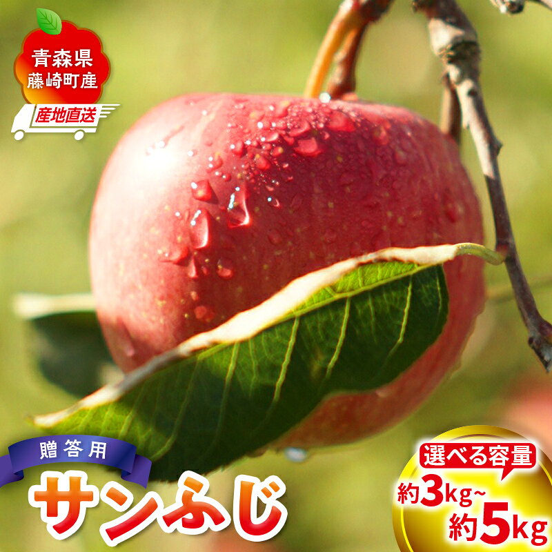 【ふるさと納税】＜産地直送＞ サンふじ 贈答用 特選クラス 約3kg (7〜10個)or 約5kg (12～20個) 選べる容量 【前田農園】ふじ発祥の地 青森りんご リンゴ アップル 果物 くだもの フルーツ 暮らしの林檎園 La Pomme Farm 青森県 藤崎町 F41-0073var｜価格・送料・ポイント還元まとめ