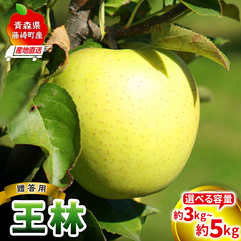 【ふるさと納税】＜産地直送＞ 王林 贈答用 特選クラス 約3kg (7〜10個) or 約5kg (12～20個) 選べる容量 【前田農園】黄色いりんご 青りんご リンゴ アップル 芳醇な香り 果物 くだもの フルーツ ふじ発祥の地 暮らしの林檎園 La Pomme Farm 青森県 藤崎町 F41-0076var｜価格・送料・ポイント還元まとめ
