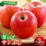 【ふるさと納税】【先行予約】葉とらず サンふじ 約3kg（7〜11個）お試し家庭用 青森りんご リンゴ 林檎 アップル 果物 くだもの フルーツ F41-0099｜価格・送料・ポイント還元まとめ