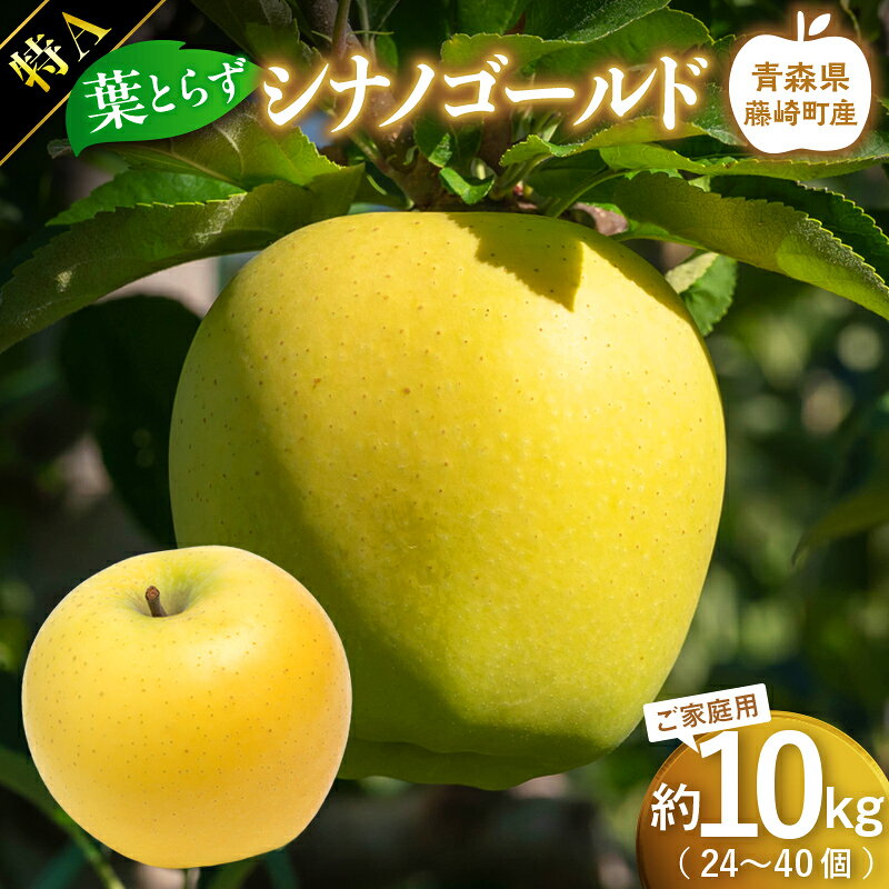 【ふるさと納税】【先行予約】シナノゴールド　特Aご家庭用　約10kg(24～40個)【グランドアップル】 青森りんご 林檎 リンゴ 葉取らずりんご 発祥の地 果物 フルーツ 青森県産 藤崎町 おすすめ F41-0180｜価格・送料・ポイント還元まとめ