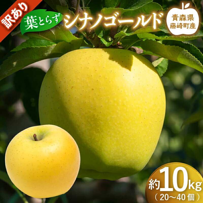 【ふるさと納税】【先行予約】 ≪訳あり≫ シナノゴールド 約10kg (20～40個)【グランドアップル】 青森りんご 林檎 リンゴ 訳アリ わけあり ワケアリ ご家庭用 規格外 葉取らずりんご 発祥の地 果物 フルーツ 青森県産 藤崎町 おすすめ F41-0181｜価格・送料・ポイント還元まとめ