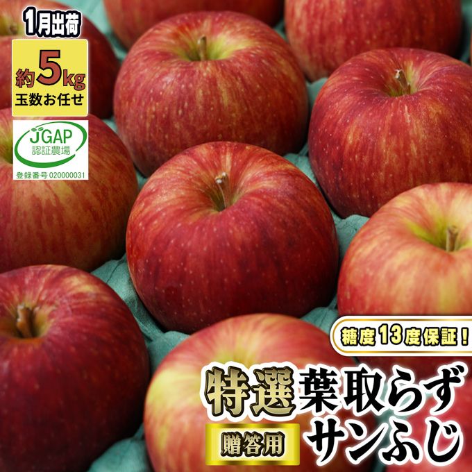 【ふるさと納税】1月発送【 糖度保証 】贈答用 葉取らず サンふじ 約 5kg 【 特選 】鶴翔りんごGAP部会 青森県産 津軽産 リンゴ 林檎 果物 JGAP認証 安心 丸かじり 甘い 高糖度 ギフト 　お届け：2027年1月10日～2027年1月25日｜価格・送料・ポイント還元まとめ｜レビュー5件