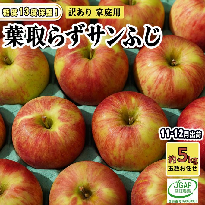 【ふるさと納税】11～12月発送【 糖度保証 】家庭用 葉取らず サンふじ 約 5kg【 訳あり 】鶴翔りんごGAP部会 青森県産 津軽産 リンゴ 林檎 果物 フルーツ デザート 甘味 酸味 食感 　お届け：2026年11月20日～2026年12月25日｜価格・送料・ポイント還元まとめ｜レビュー2件