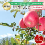【ふるさと納税】【 9月・10月発送 】 贈答用 早生ふじ 約 3kg 【 青森県鶴田町産 りんご 青森りんご 】果物類 フルーツ 林檎 リンゴ 鶴田町 青森県 おやつ デザート　お届け：2026年10月1日～2026年10月31日｜価格・送料・ポイント還元まとめ