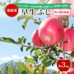 【ふるさと納税】【 9月・10月発送 】 家庭用 早生ふじ 約 3kg 【 青森県鶴田町産 りんご 青森りんご 】果物類 フルーツ 林檎 リンゴ 鶴田町 青森県 おやつ デザート　お届け：2026年10月1日～2026年10月31日｜価格・送料・ポイント還元まとめ