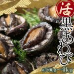 【ふるさと納税】中泊直送 天然 ”活” 黒あわび 【選べる容量】 約500g / 約1kg / 約2.5kg / 約4kg 【卓立水産】貝 海鮮 津軽海峡 活鮑 活あわび 活アワビ 黒鮑 黒アワビ アワビ 鮑 天然 産地直送 海産 魚貝 魚介 中泊町 青森 F6N-026var｜価格・送料・ポイント還元まとめ｜レビュー2件