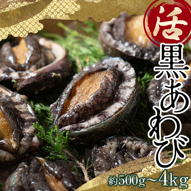 【ふるさと納税】中泊直送 天然 ”活” 黒あわび 【選べる容量】 約500g / 約1kg / 約2.5kg / 約4kg 【卓立水産】貝 海鮮 津軽海峡 活鮑 活あわび 活アワビ 黒鮑 黒アワビ アワビ 鮑 天然 産地直送 海産 魚貝 魚介 中泊町 青森 F6N-026var｜価格・送料・ポイント還元まとめ｜レビュー2件