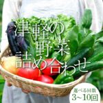【ふるさと納税】《お届け回数が選べる》津軽の季節の野菜詰め合わせセット 【中泊町特産物直売所ピュア】1回 3回 5回 10回 定期便 旬の野菜 旬野菜 旬 新鮮 食品 グルメ 詰め合わせ 冷蔵 ファーマーズマーケット 野菜 美味しい 甘い サラダ 中泊町 青森 F6N-022var｜価格・送料・ポイント還元まとめ