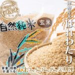 【ふるさと納税】令和7年産 中泊産 こだわりの有機米（玄米） 2kg 5kg 10kg 15kg 定期便（5kg 10kg）【3ヶ月・5ヶ月・10ヶ月連続】＜有機JAS認証＞ 【瑞宝(中里町自然農法研究会)】 有機米 こめ コメ お米 ぶづき米 ぶつき米 精米 津軽 無農薬 青森 中泊町 F6N-036var｜価格・送料・ポイント還元まとめ｜レビュー1件