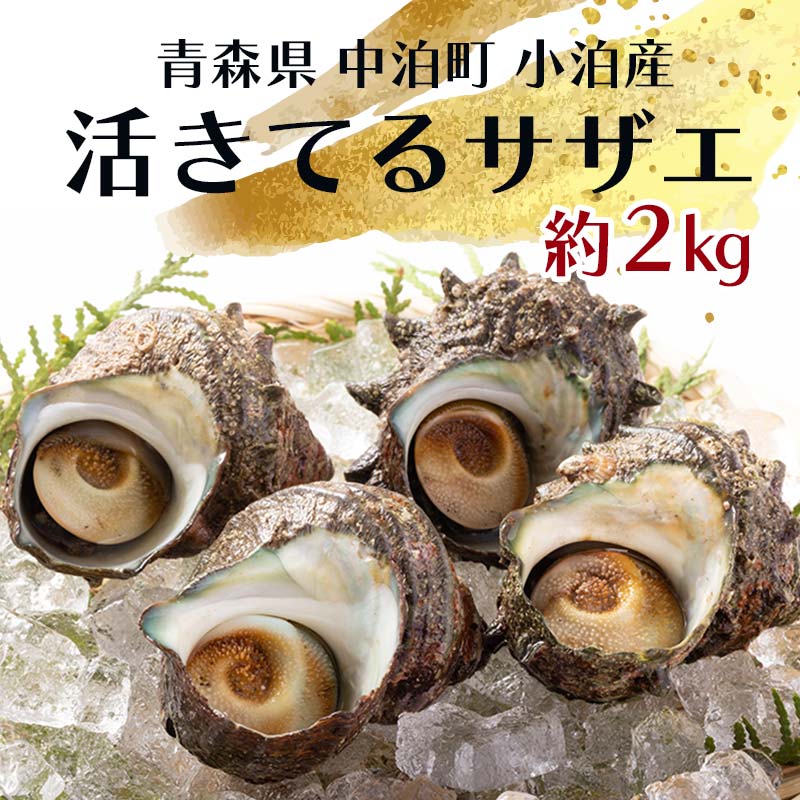 【ふるさと納税】活きてるサザエ 約2kg 【卓立水産】 天然 貝 つぶ さざえ 栄螺 つぼ焼き 海鮮 魚介 魚貝 海産 刺身 BBQ バーベキュー 生 中泊町 青森 F6N-094｜価格・送料・ポイント還元まとめ｜レビュー1件