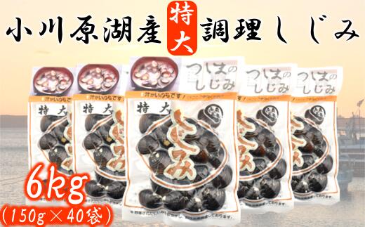 【ふるさと納税】＜東北町小川原湖産＞特大調理しじみ　150g×40パック　【02408-0003】# 大和しじみ 小川原湖 東北町 青森県 砂抜き 冷凍 対島商店｜価格・送料・ポイント還元まとめ