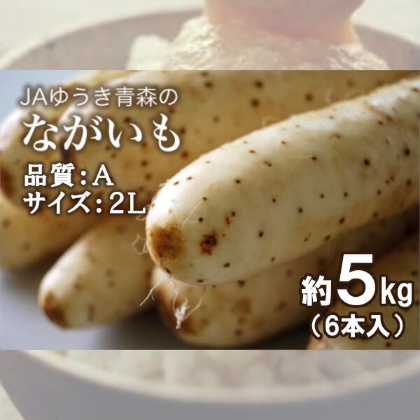 【ふるさと納税】青森県特産ながいも　A2L（6本入）約5kg　【02408-0036】 # 長芋 品質A 2Lサイズ 東北町 山芋 やまいも とろろ 青森県 ゆうき青森農業協同組合 JAゆうき青森｜価格・送料・ポイント還元まとめ